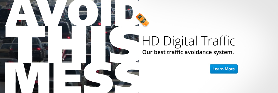 Garmin Digital 3D Traffic