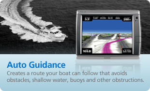 Auto Guidance