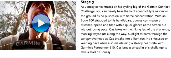 Stage 3