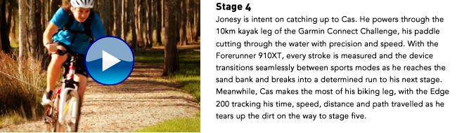 Stage 4