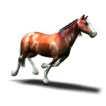 Giddyup