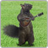 Squirrely
