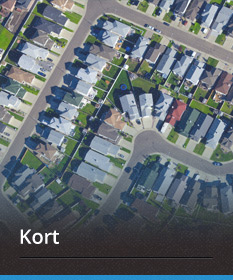 Kort