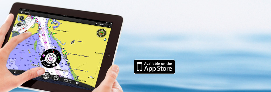BlueChart Mobile
