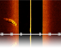 Sidevu Scan