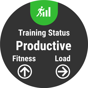 Training Status