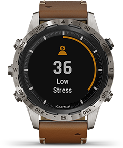 Garmin Pay