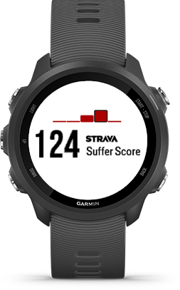 Garmin forerunner 245 store south africa