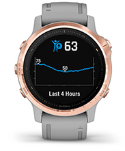 garmin fenix 6s pro sapphire