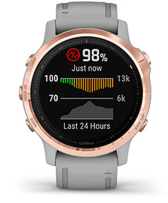 Garmin 6s fenix discount pro