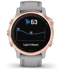 f nix 6S Discontinued Garmin India