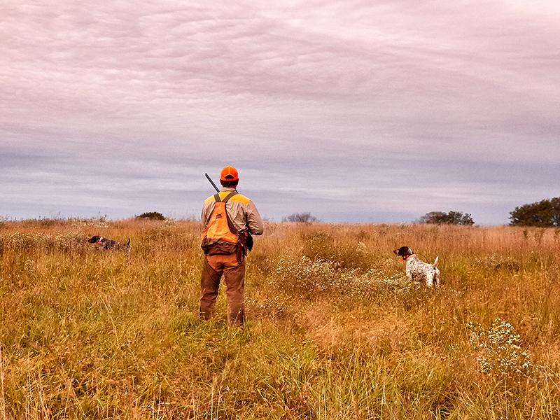 Take dog tracking and training to the next level.