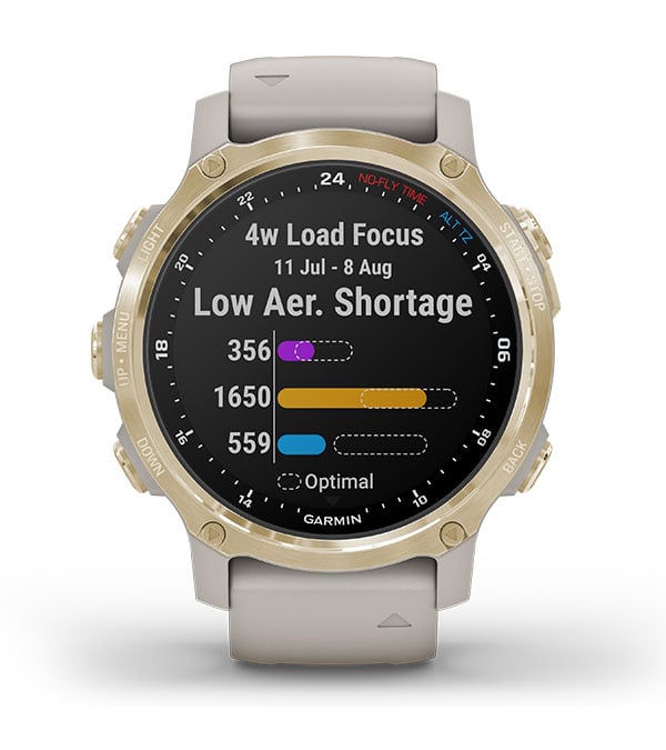 Gold hot sale garmin watch