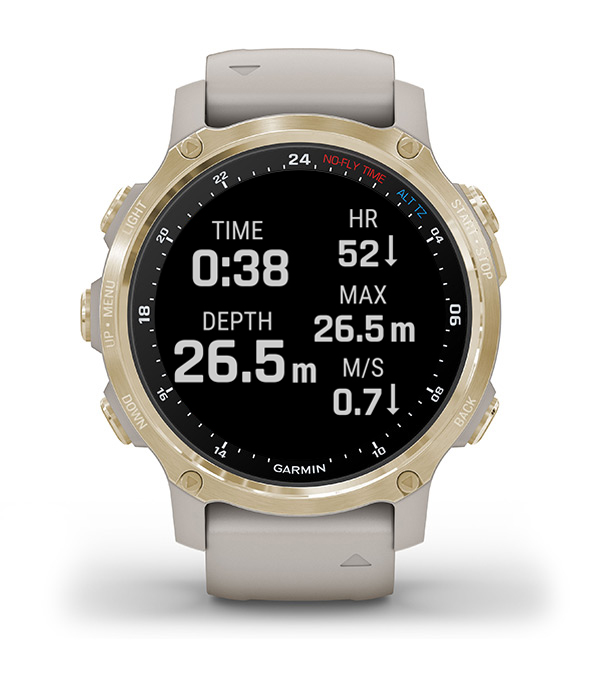 Garmin fenix best sale 6 for diving