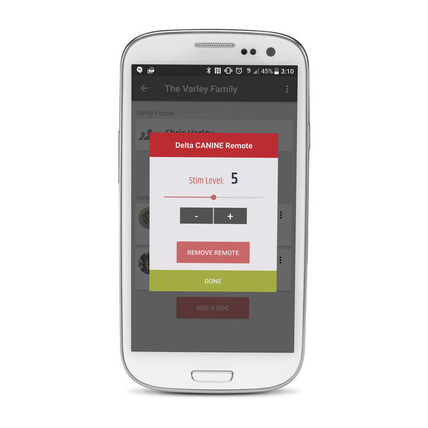 garmin delta smart remote