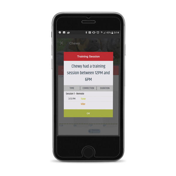 garmin delta smart remote