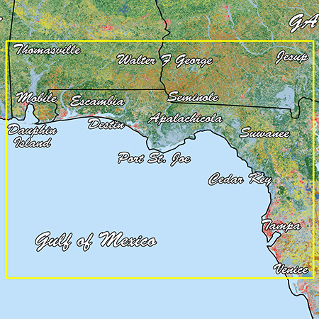 Standard Mapping® - Emerald Coast Classic | Garmin