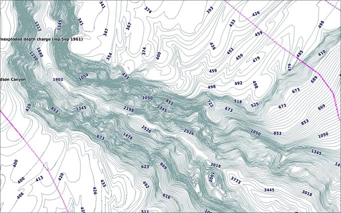 Detailed Contours