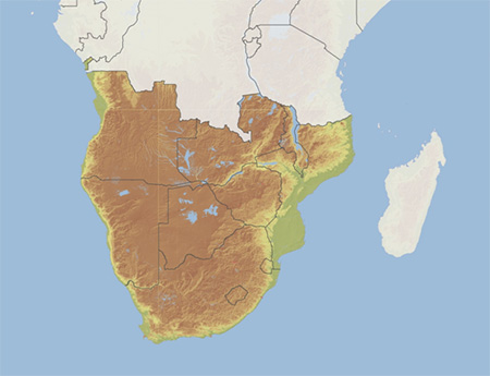 Coverage Image