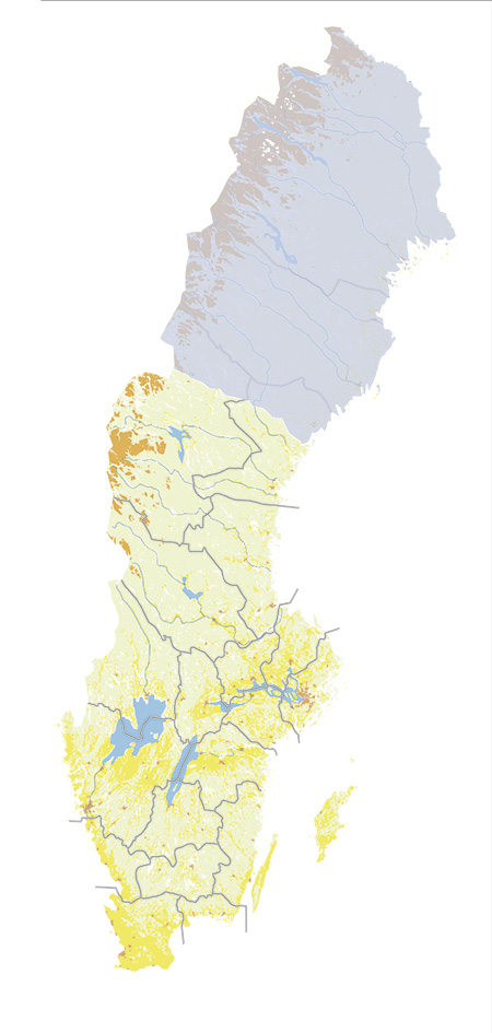 Coverage Image Coverage Image