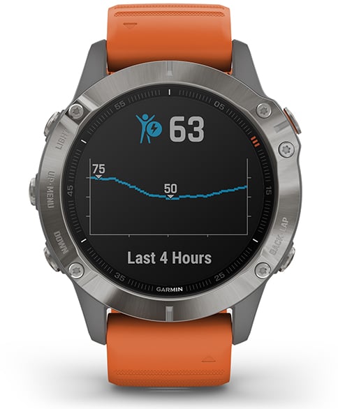 f nix 6 Sports Fitness Garmin Philippines