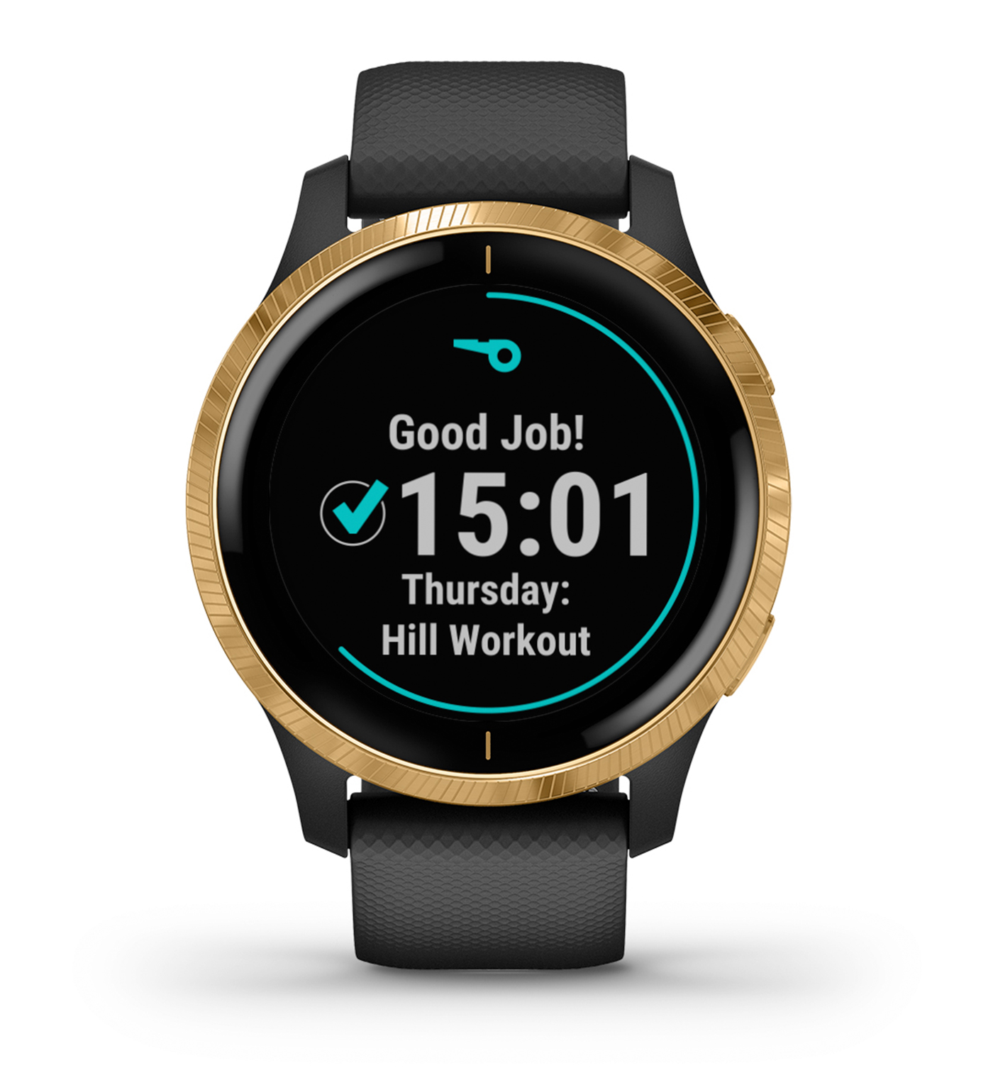 Venu Wearables Garmin India