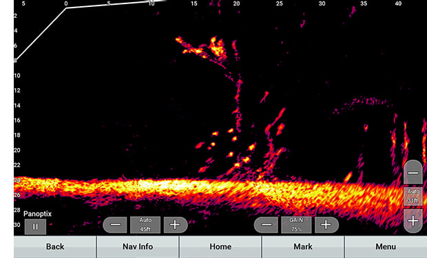 Garmin Livescope Shines in Open Water! 