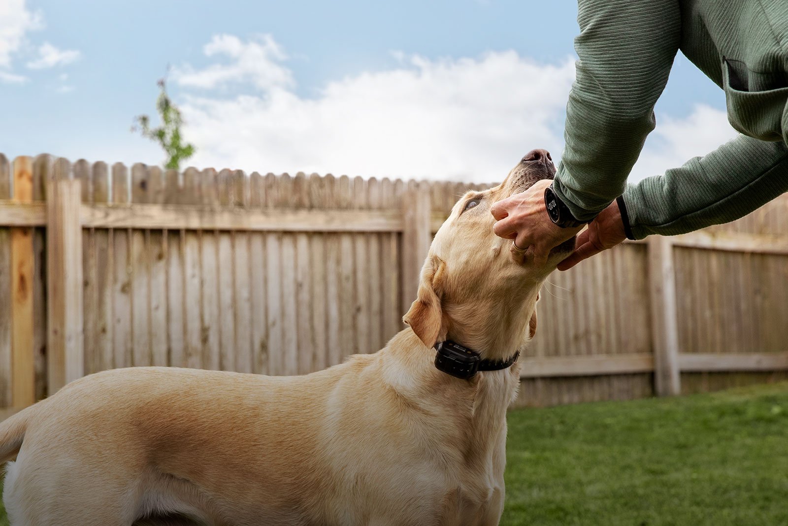 Dog Training Collar, Dog Bark Control