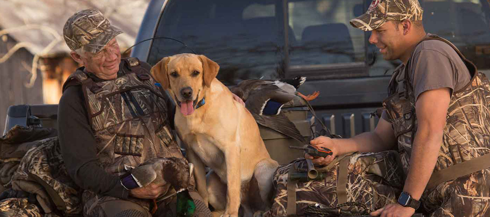 Tracking and Training Sporting Dogs