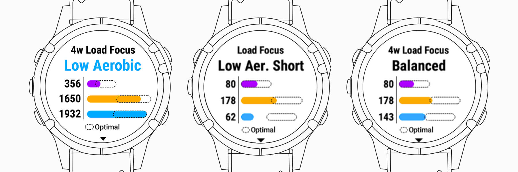 Training Load Focus