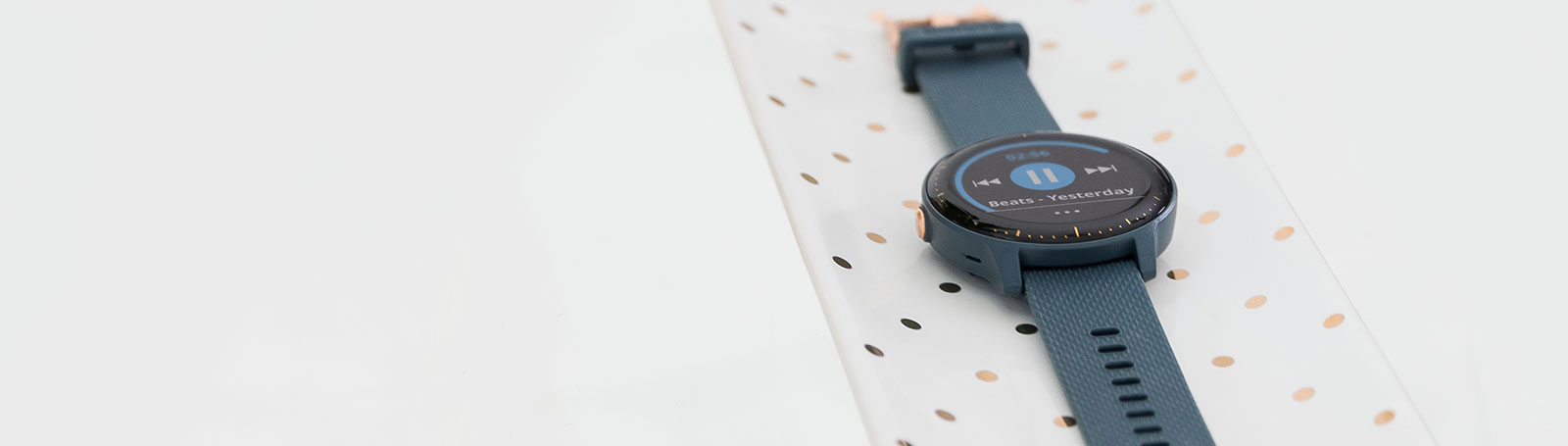 garmin vivotech 3