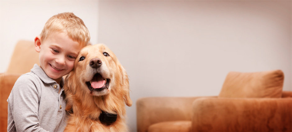 Garmin Pet Products