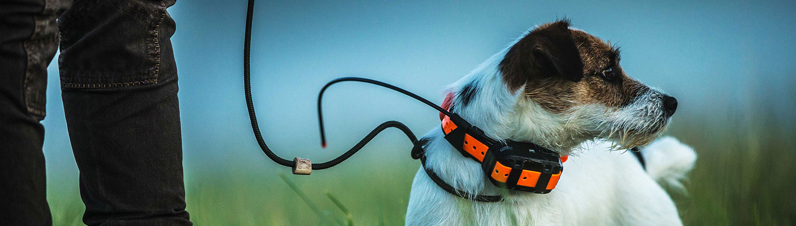 Collari GPS per Cani, GPS per Cani da Caccia