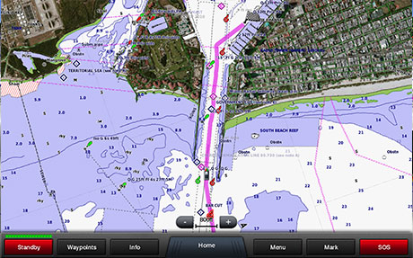 Garmin BlueChart Immagini satellitari