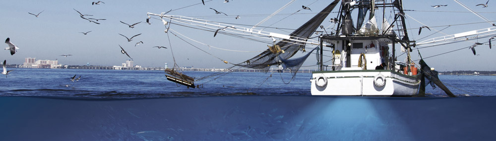 CS 1522 Marine Professional Fishfinder: Kirim Kru Anda untuk Menangkap Lebih Banyak Ikan